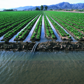 حفاظت کیفیت آب در مقابل رواناب کشاورزی